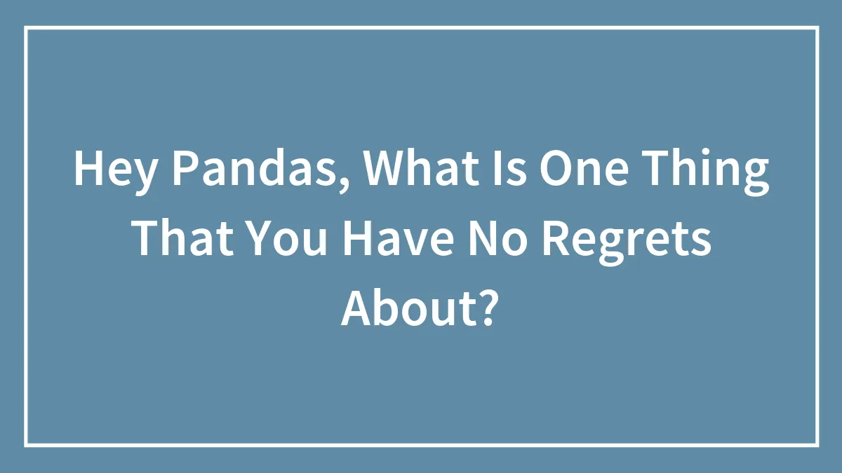 Hey Pandas, What Is One Thing That You Have No Regrets About?