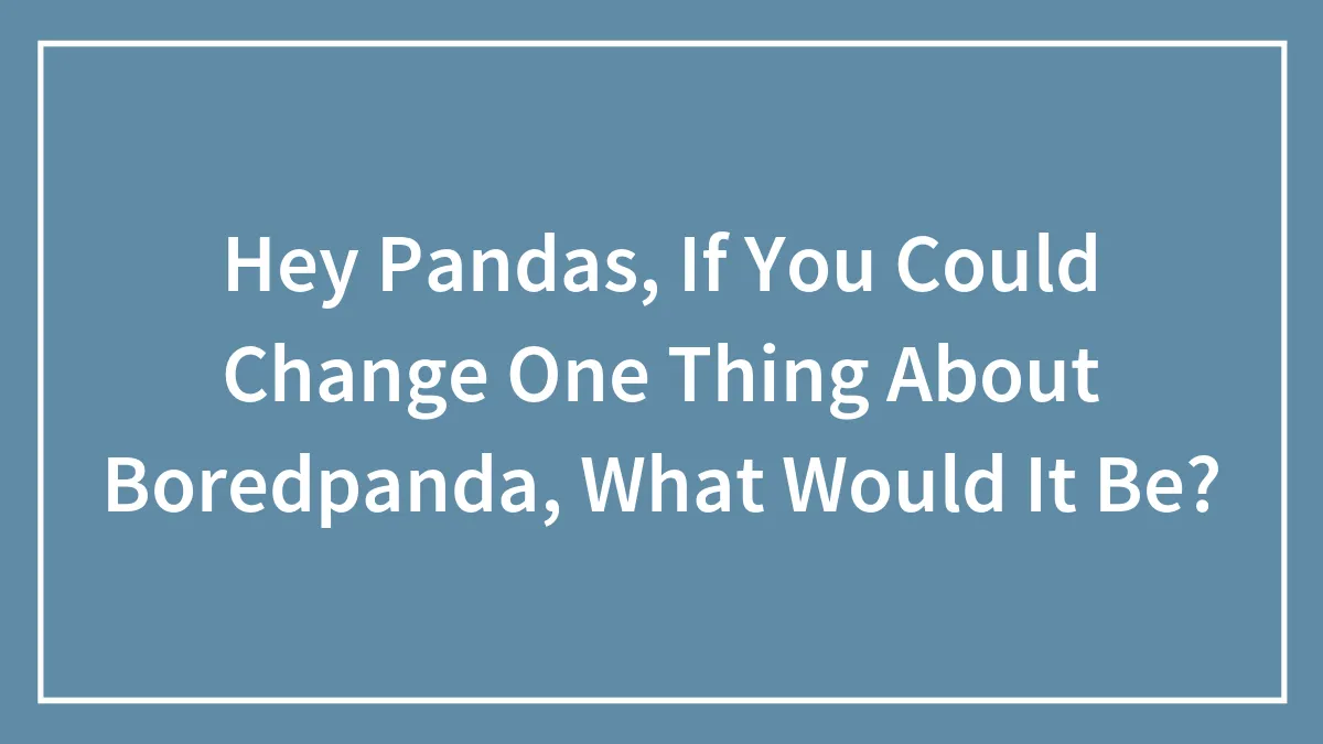 Hey Pandas, If You Could Change One Thing About Boredpanda, What Would It Be?
