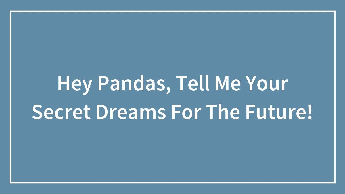 Hey Pandas, Tell Me Your Secret Dreams For The Future!