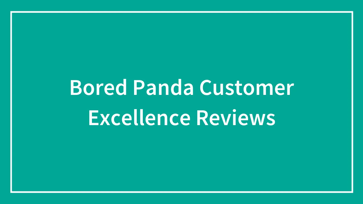 Bored Panda Customer Excellence Reviews