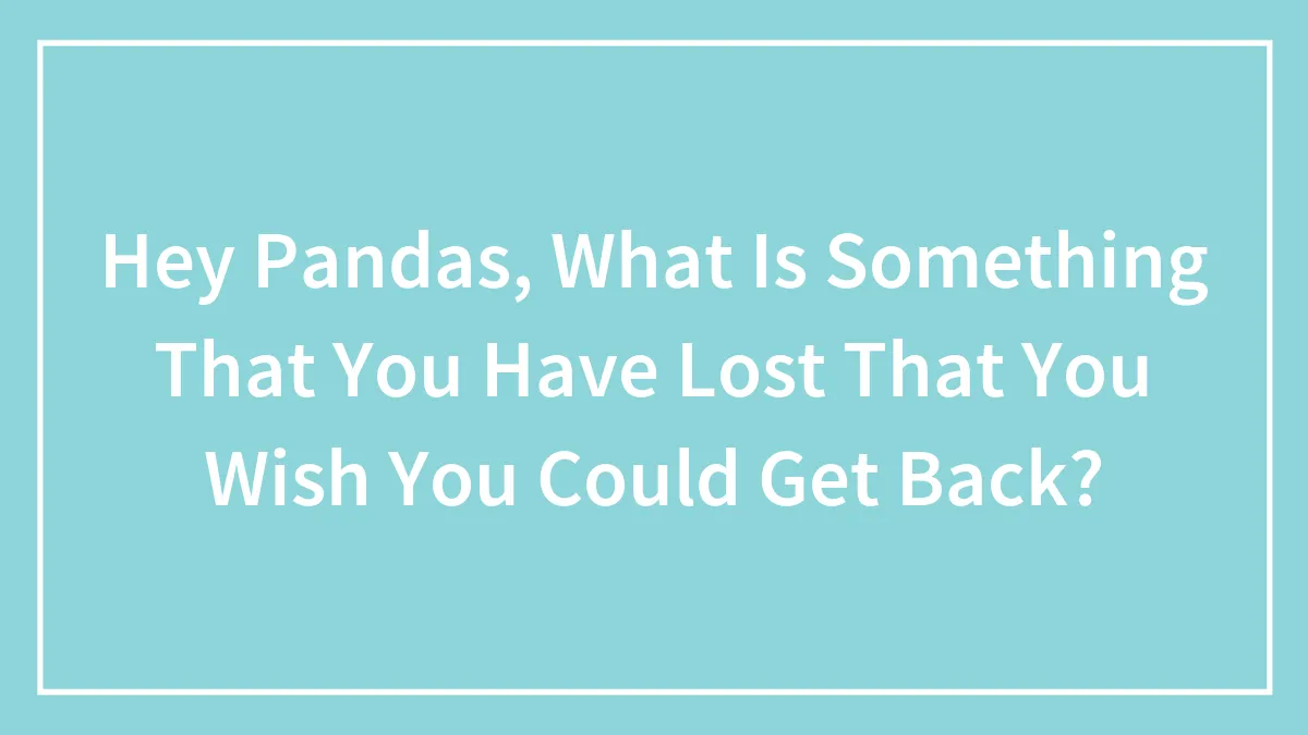 Hey Pandas, What Is Something That You Have Lost That You Wish You Could Get Back? (Closed)