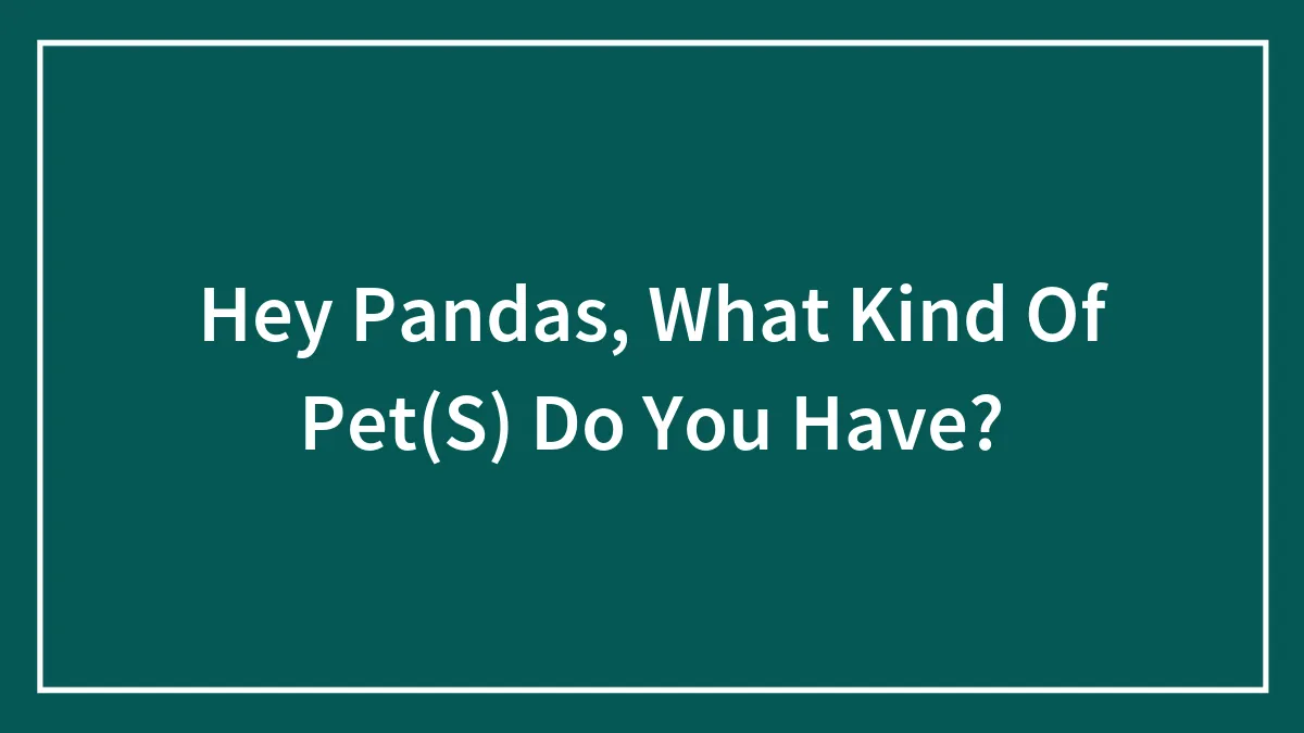 Hey Pandas, What Kind Of Pet(S) Do You Have?