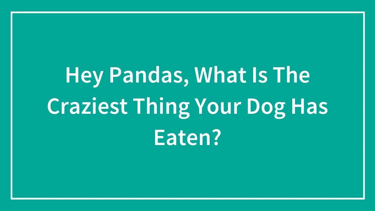 Hey Pandas, What Is The Craziest Thing Your Dog Has Eaten? (Closed)