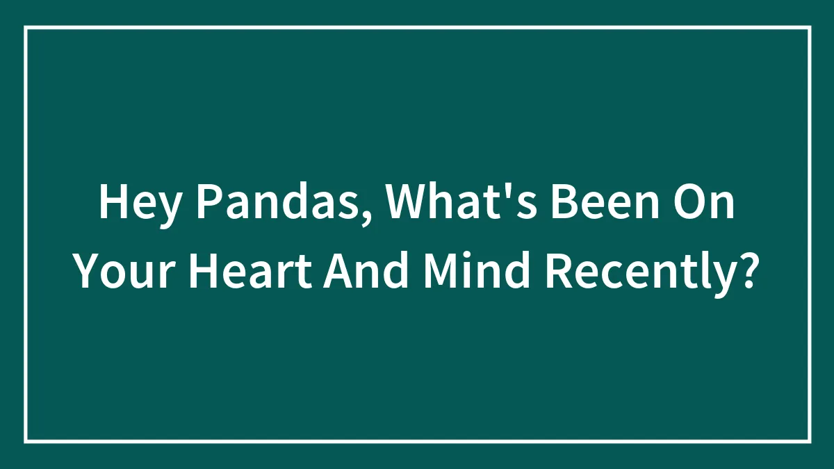 Hey Pandas, What's Been On Your Heart And Mind Recently?