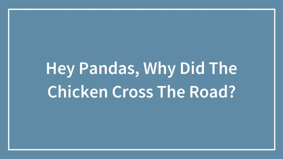 Hey Pandas, Why Did The Chicken Cross The Road?