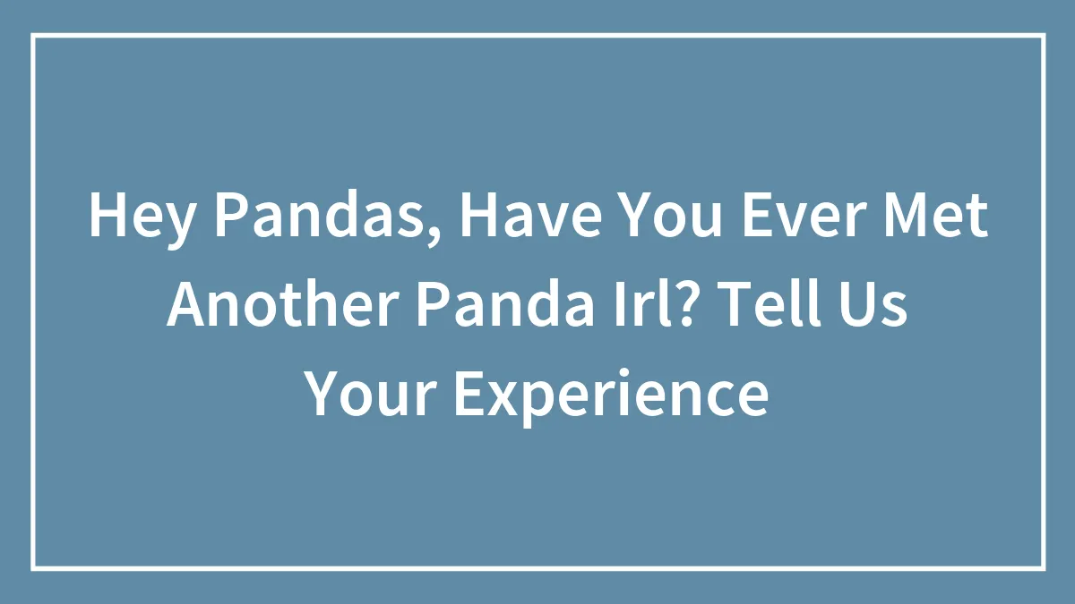 Hey Pandas, Have You Ever Met Another Panda Irl? Tell Us Your Experience