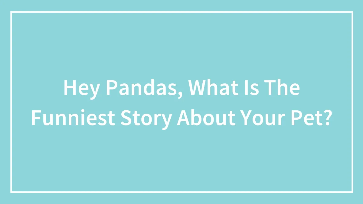 Hey Pandas, What Is The Funniest Story About Your Pet? (Closed)