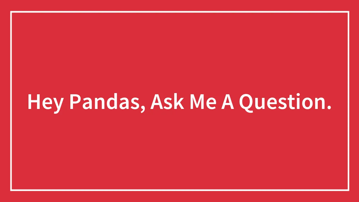 Hey Pandas, Ask Me A Question.
