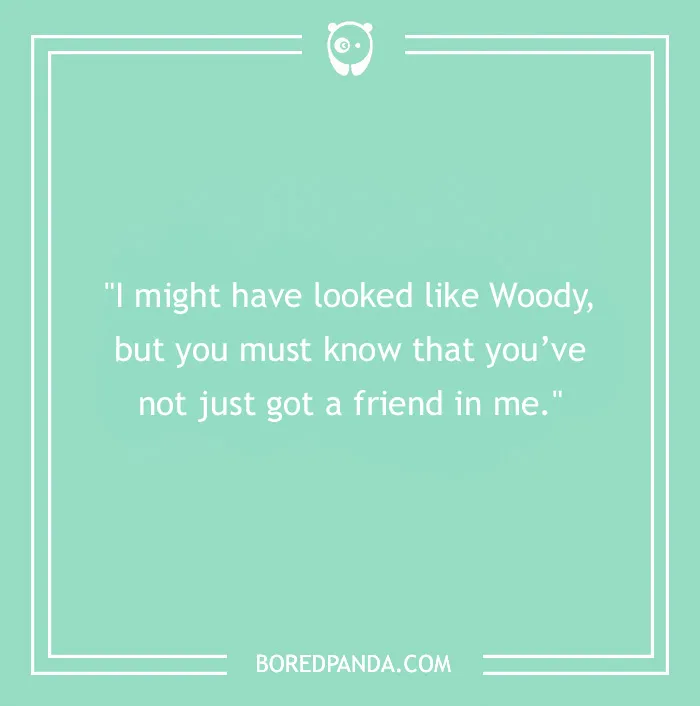 Cowboy joke quote on mint green background about looking like Woody.