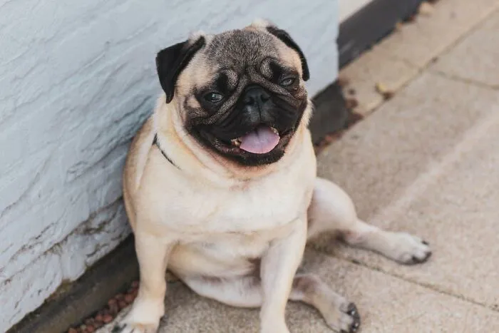 People Share 30 Deal-Breakers That Make Them Instantly Nope Out From A First Date