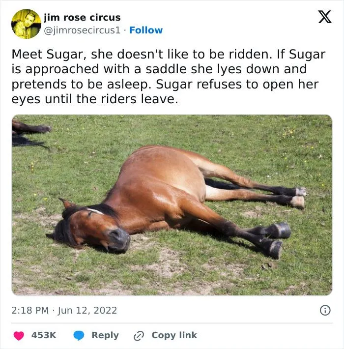 50 Best Unapologetic Jokes From “Made In Poor Taste” IG Page