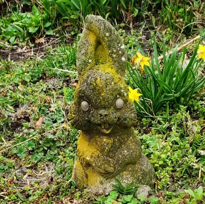 Bunny Statue At My Mom's Senior Center
