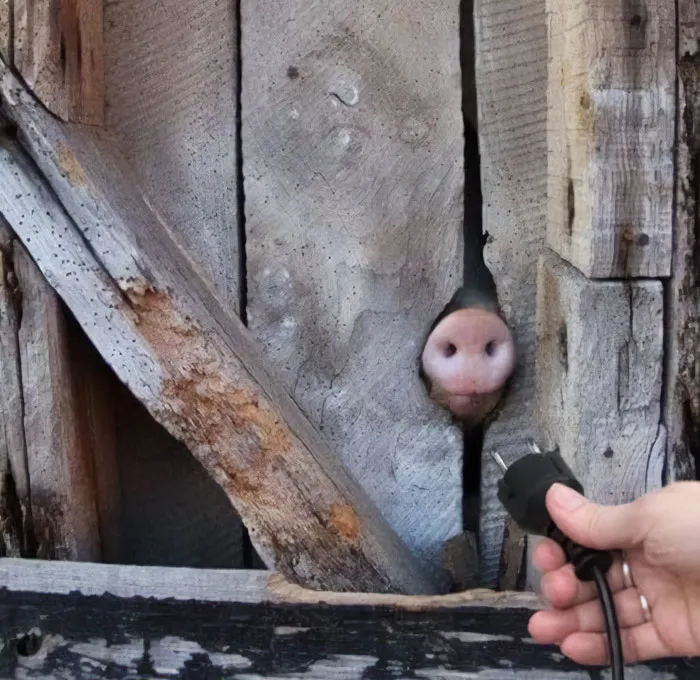 This IG Page Is A Treasure Trove Of ‘Blursed’ Imagery, And Here Are 50 Of The Most Confusing