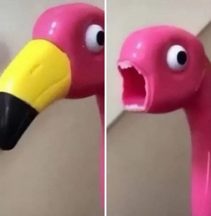 This IG Page Is A Treasure Trove Of ‘Blursed’ Imagery, And Here Are 50 Of The Most Confusing