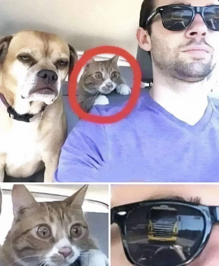 This IG Page Is A Treasure Trove Of ‘Blursed’ Imagery, And Here Are 50 Of The Most Confusing