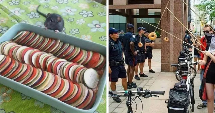 This IG Page Is A Treasure Trove Of ‘Blursed’ Imagery, And Here Are 50 Of The Most Confusing