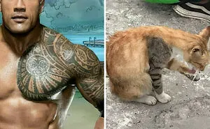 “Blursed”: 50 Images That Are Giving Both “Blessed” And “Cursed” Energy