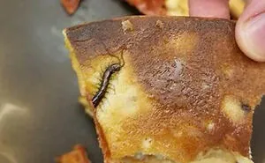 50 Terrible Food Pictures That Might Make Your Stomach Cringe
