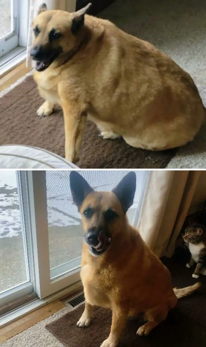 10 Months Post-Adoption, And 55 Lbs Lighter