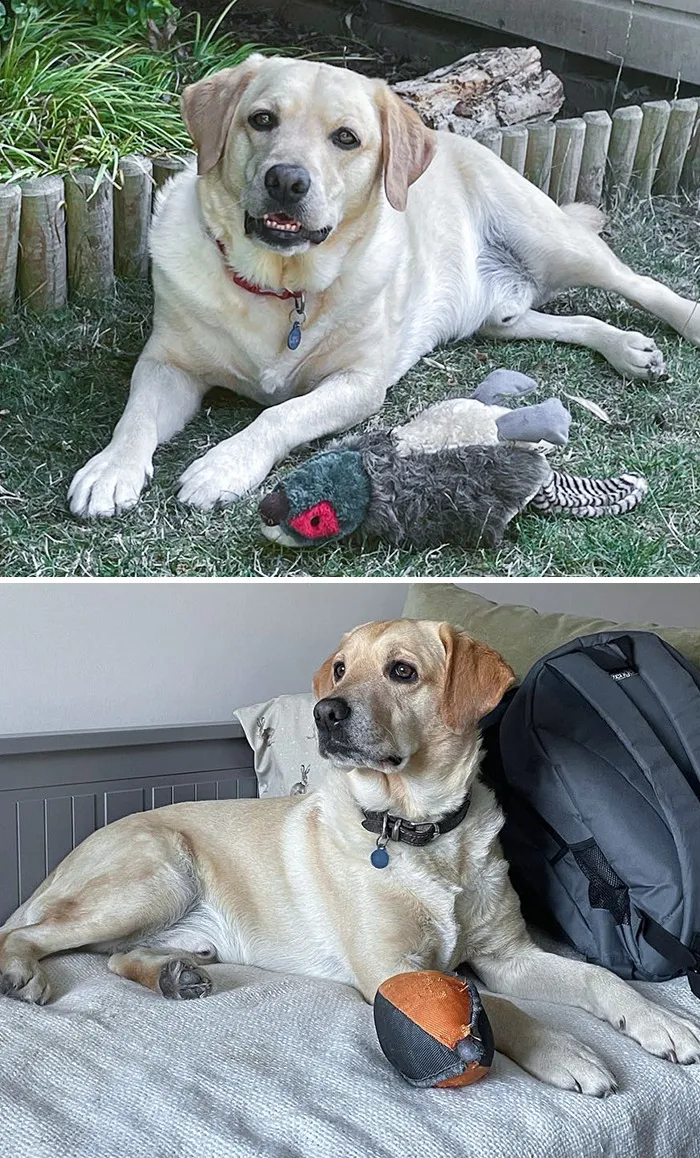 He Has Lost 5 Kg In Four Months