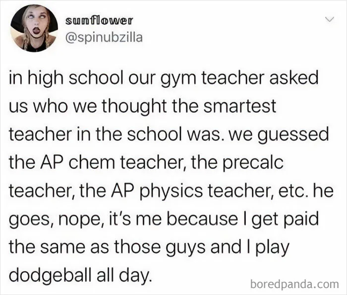 "Really Dumb Tweets": 50 Pearls From Twitter Posted By This Account