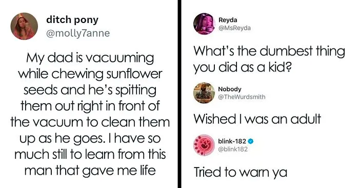 "Really Dumb Tweets": 50 Pearls From Twitter Posted By This Account