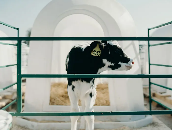 35 Surprising Companies That Are A Lot More Evil Than Meets The Eye