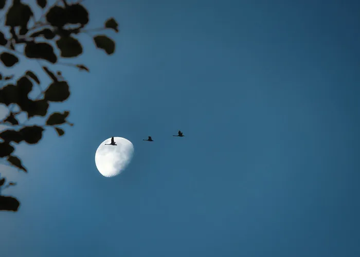 Gravity-Pulling Facts About The Moon
