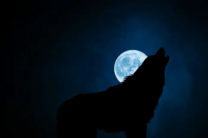 Gravity-Pulling Facts About The Moon