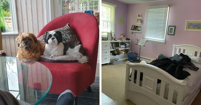 Hey Pandas, What’s Your Favorite Comfy Place? (Closed)