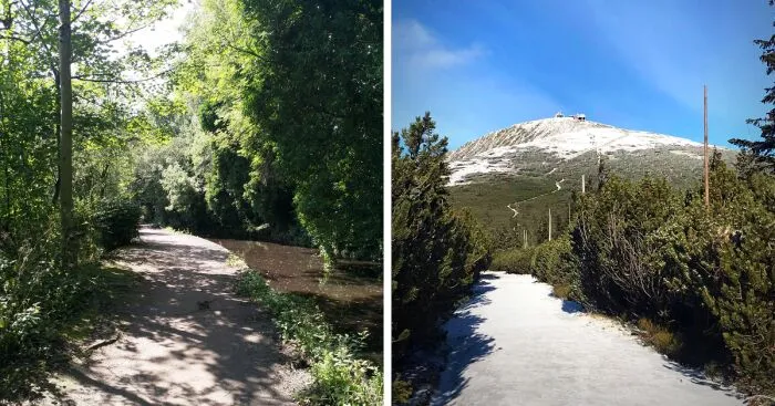 Hey Pandas, Show Us A Cool Pic Of A Path That You Took