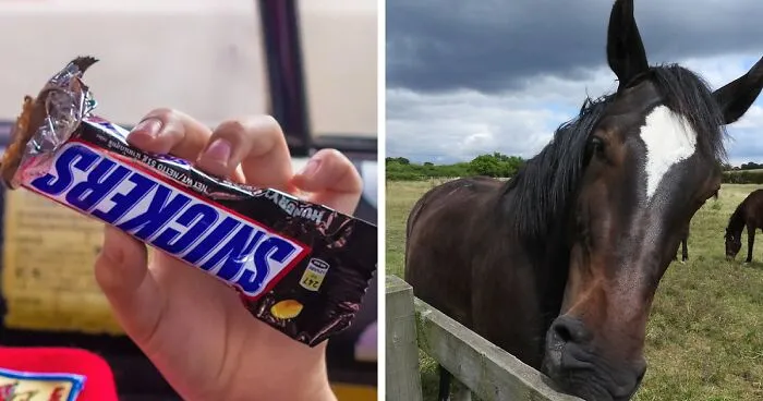 People Are Pleasantly Surprised After Learning The Story Behind Snickers’ Odd Name