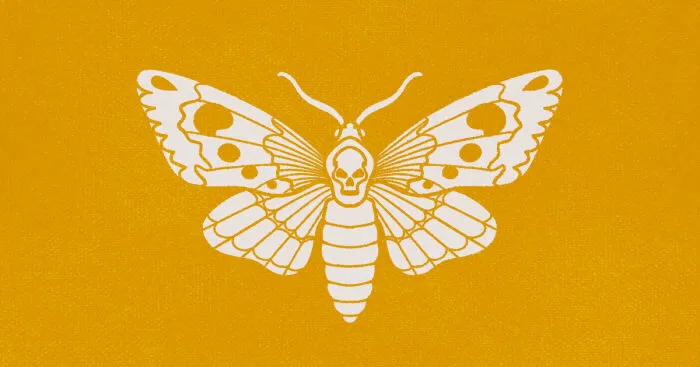 My Minimalist Illustrations With Quotes (9 Pics)