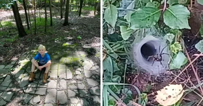 Hey Pandas, What’s A Weird Little Thing That You’ve Found? (Closed)