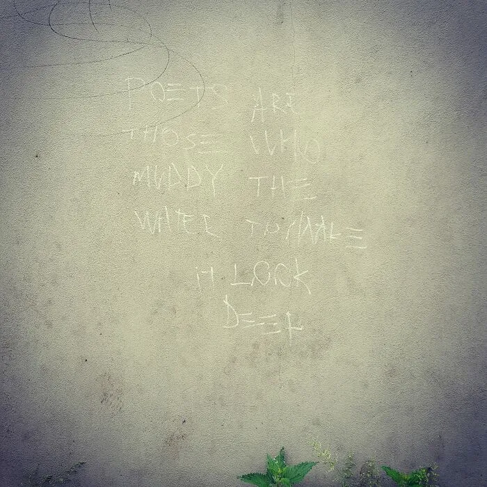 Poets Are Those Who Muddy The Water To Make It Look Deep