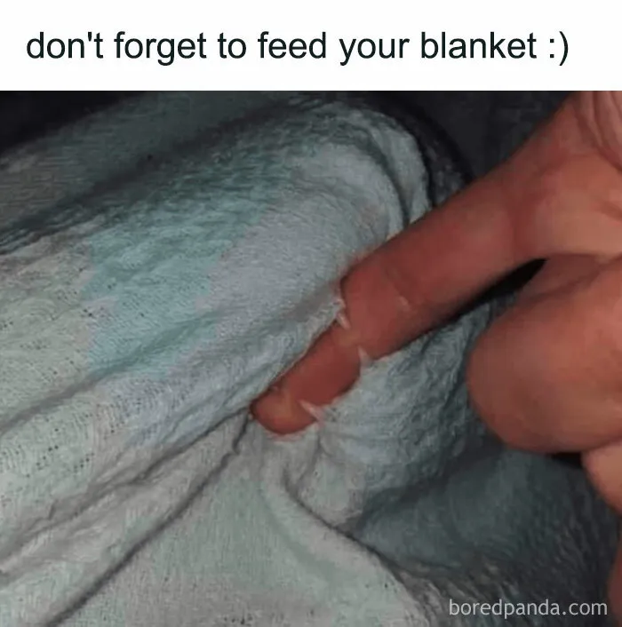 Funny cat meme with a playful text about feeding a blanket from the Happycat318 Instagram account.