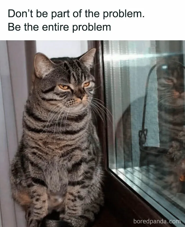 Grumpy cat meme from Happycat318 Instagram account with text: "Don't be part of the problem. Be the entire problem."