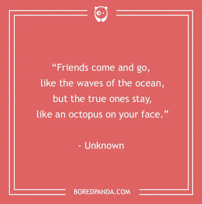 161 Funny Best Friend Quotes To Use As An Instagram Caption