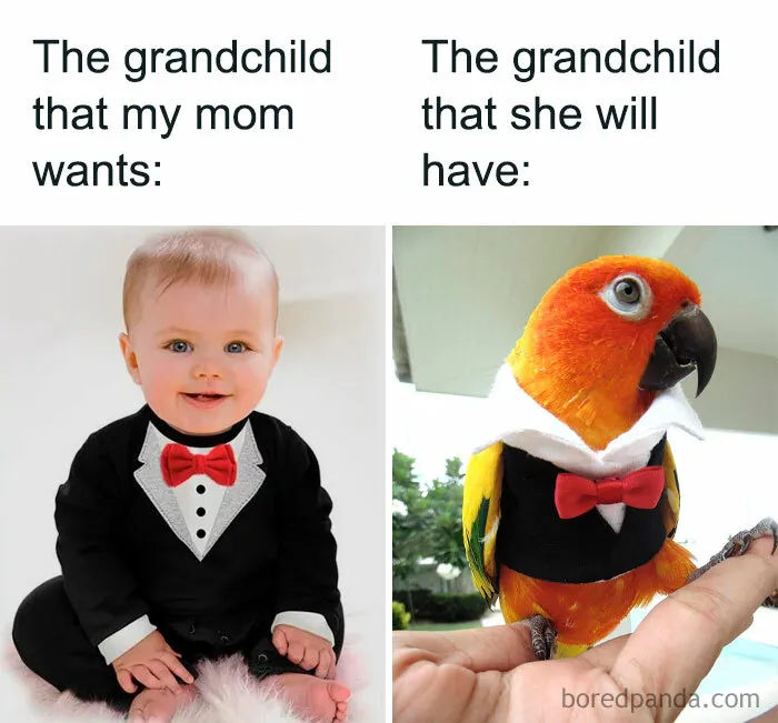 40 Hilarious Memes That Perfectly Sum Up What Being Childfree Is Like