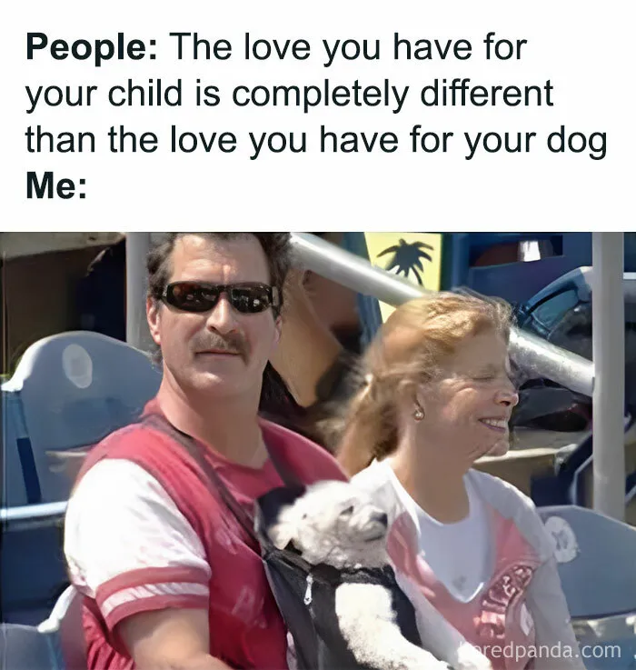 40 Hilarious Memes That Perfectly Sum Up What Being Childfree Is Like
