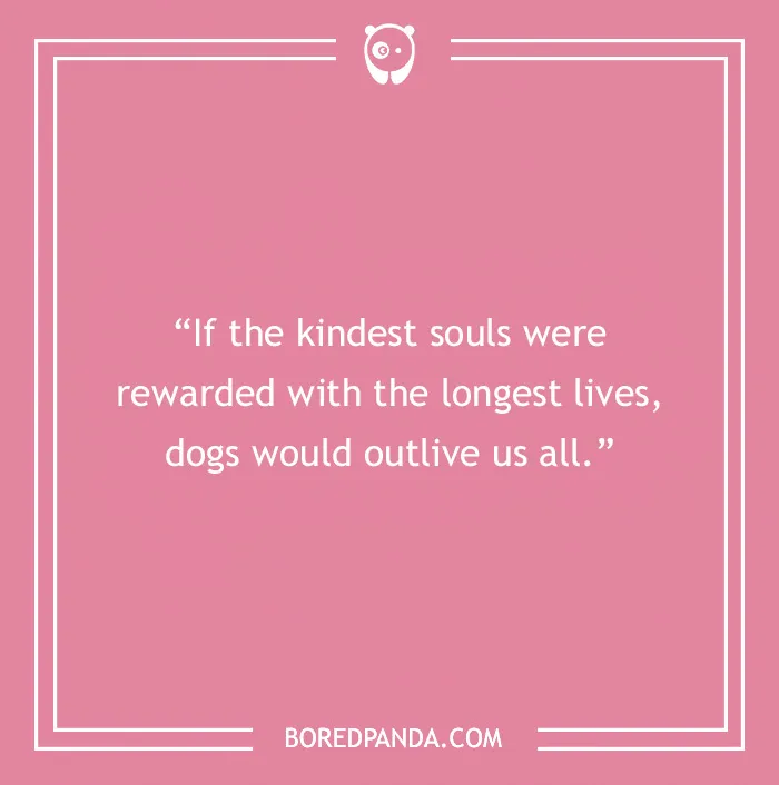 95 Funny Dog Quotes That Prove Dogs Are Pure Pawsomeness
