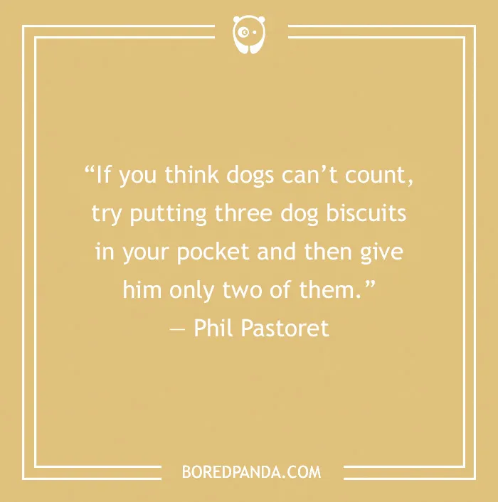95 Funny Dog Quotes That Prove Dogs Are Pure Pawsomeness