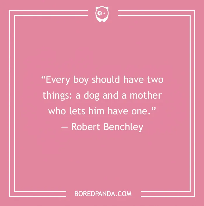 Funny Dog Quotes