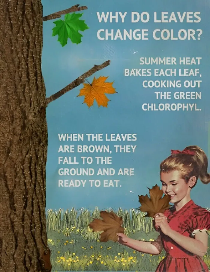 These Confusing ‘Science Facts’ Challenge Your Knowledge In A Hilarious Way