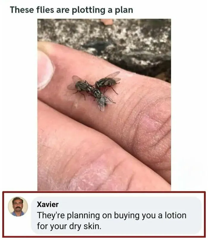 Flies on a hand with a humorous reply from Xavier about them planning a lotion purchase for dry skin.