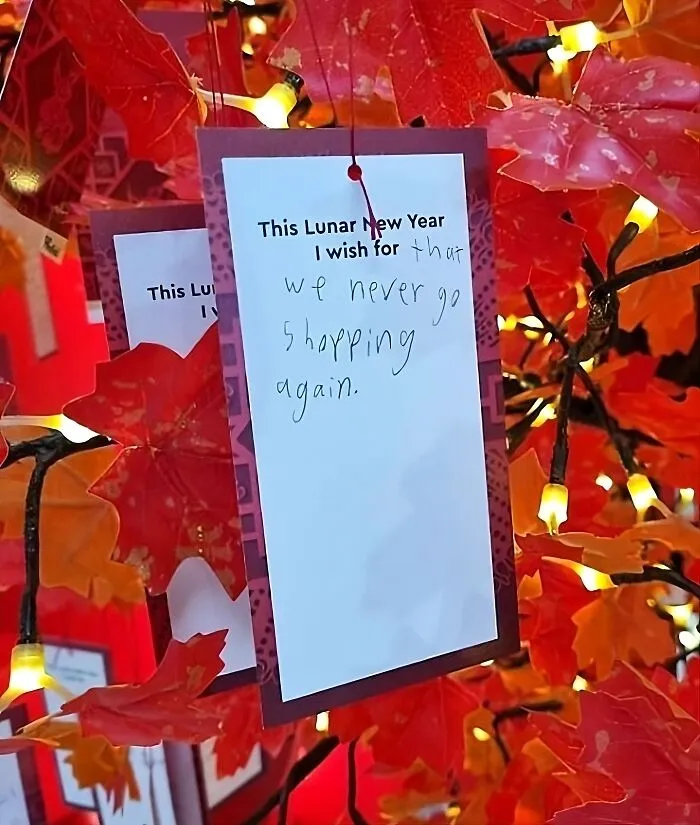 A Kid's Wish On A Mall's Lunar New Year Wishing Tree