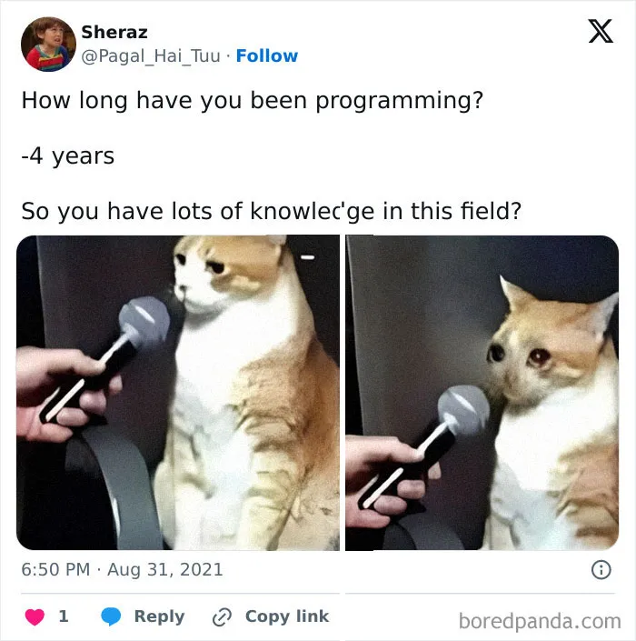 5 Years And I Don't Know Anything
