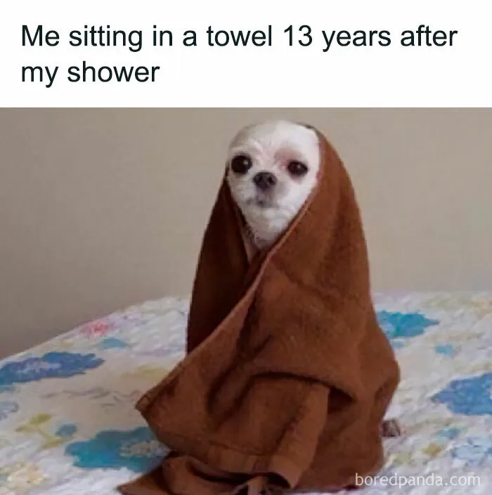 50 Funny Memes Calling Out Women In The Best Way