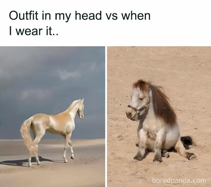 Relatable-Memes-Hilarioustextx