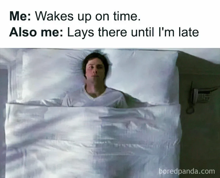 50 Hilarious Memes About Life That Are Spot-On